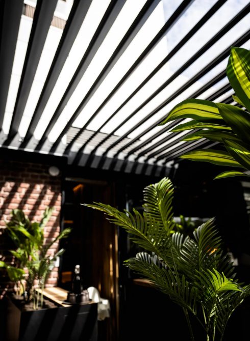 proyecto ke sibuya MCM2883